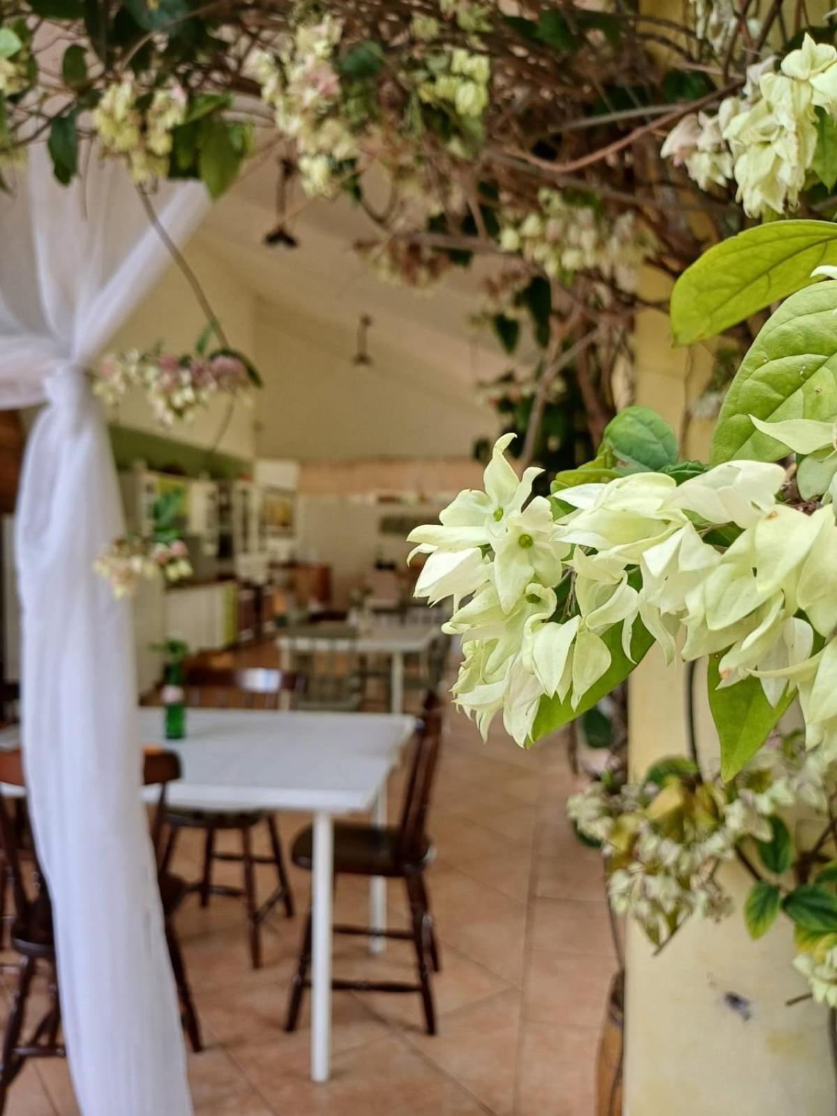 Chacara Rosa Cortiana Bed and Breakfast São Gabriel Eksteriør billede